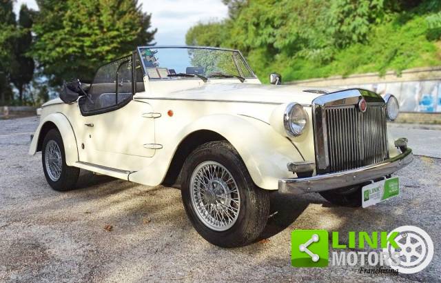 Imagen 1/22 de SIATA Spring 850 (1969)