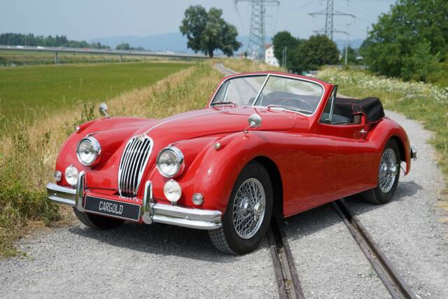 Bild 1/51 von Jaguar XK 140 SE DHC (1957)