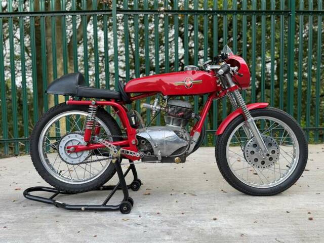 Bild 1/44 von Gilera 175 Extra Rossa (1958)