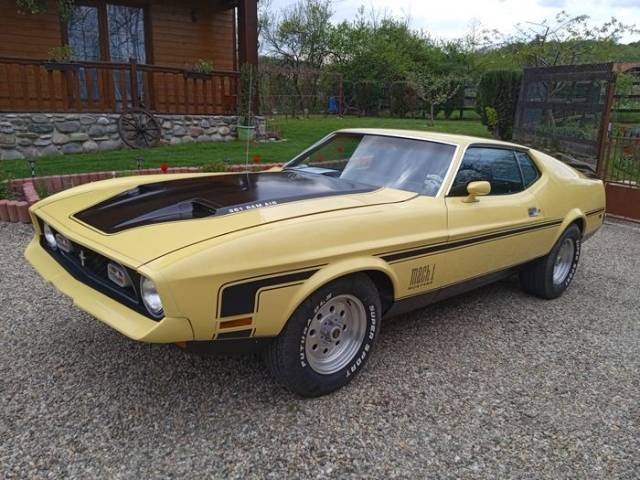 Bild 1/9 von Ford Mustang Mach 1 (1972)