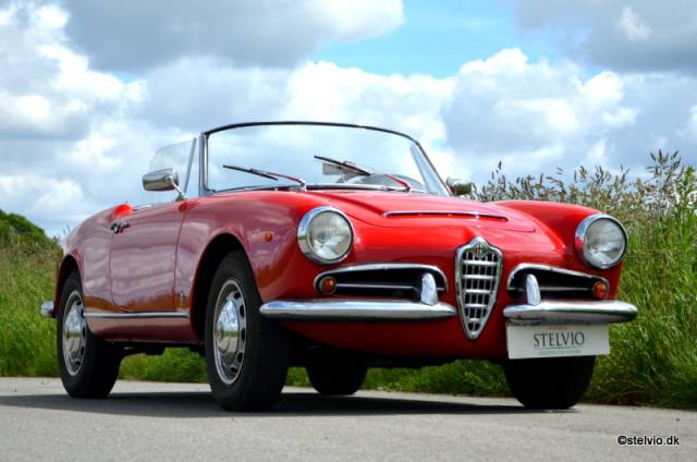 Image 1/21 de Alfa Romeo Giulia 1600 Spider (1964)