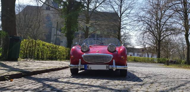 Bild 1/29 von Austin-Healey Sprite Mk I (1958)