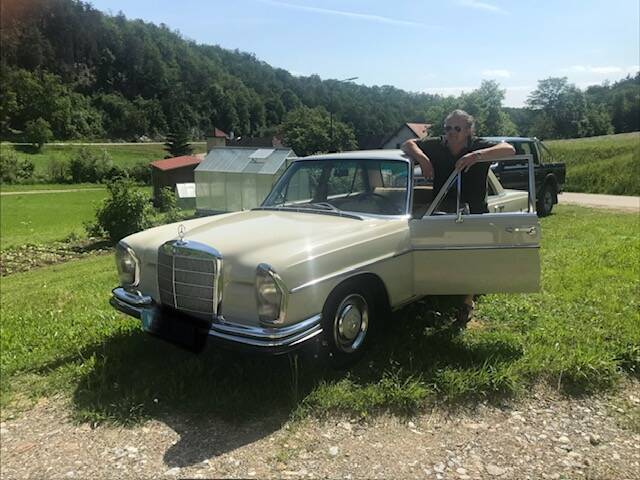 Afbeelding 1/52 van Mercedes-Benz 250 SE (1966)