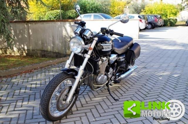 Bild 1/23 von Triumph DUMMY (1996)