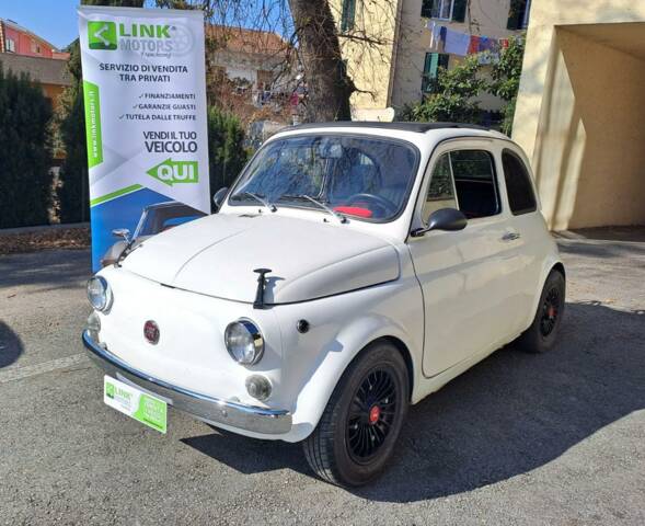 Bild 1/43 von FIAT 500 L (1971)