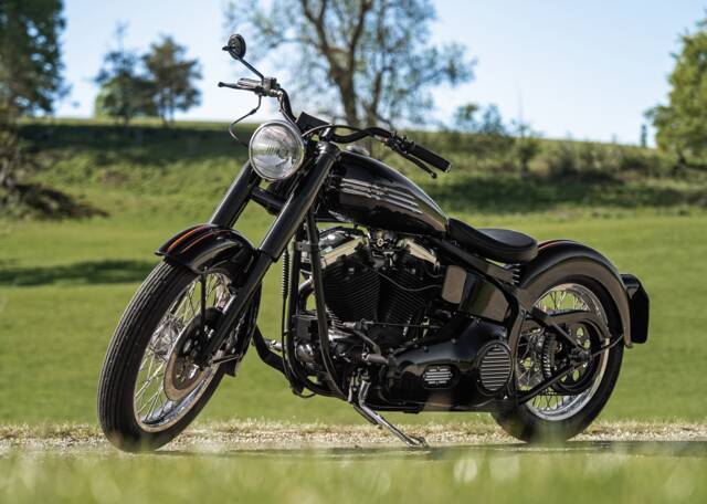 Afbeelding 1/15 van Harley-Davidson Heritage Softail Nostalgia FLSTN (1991)