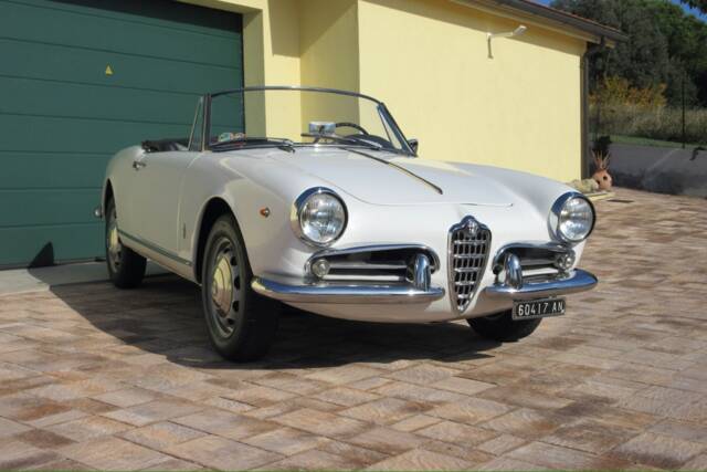 Bild 1/30 von Alfa Romeo Giulietta Spider (1961)