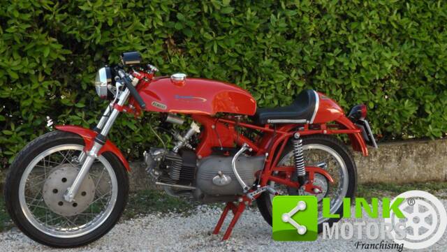 Bild 1/10 von Aermacchi DUMMY (1960)