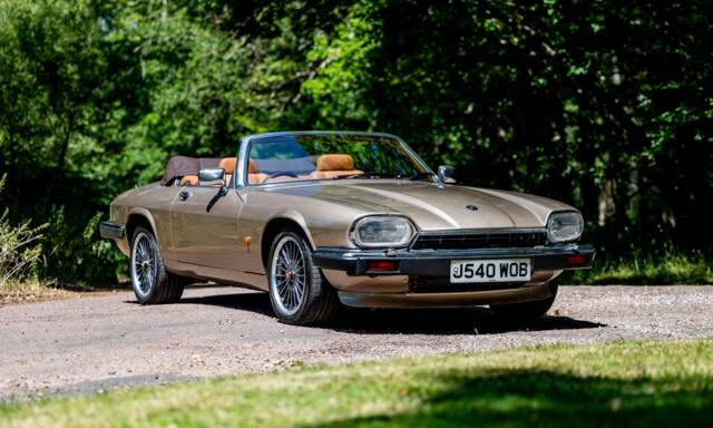 Bild 1/50 von Jaguar XJS 6.0 V12 (1992)