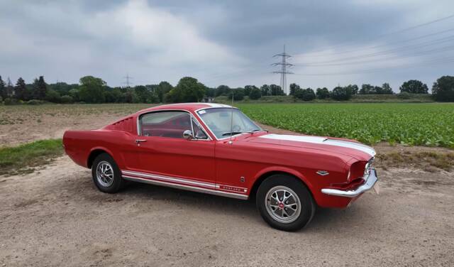 Image 1/12 de Ford Mustang 289 (1965)