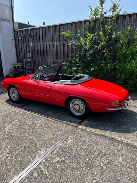 Bild 1/4 von Alfa Romeo 1600 Duetto (1967)