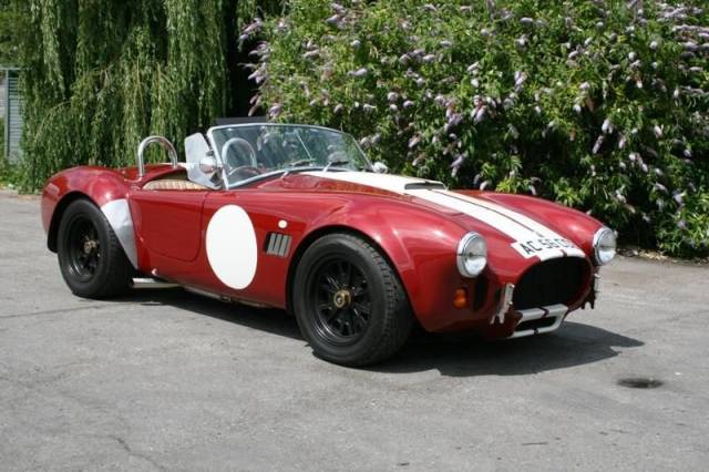 Image 1/10 of AC Cobra 289 (2007)