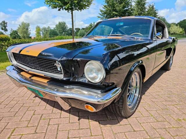 Bild 1/7 von Ford Shelby GT 350H (1966)