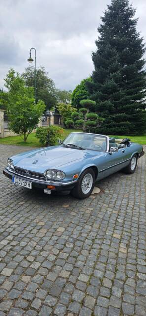 Image 1/13 de Jaguar XJS 5.3 V12 (1990)