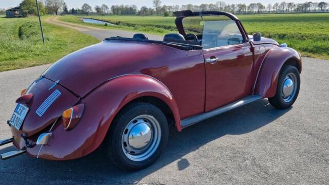 Bild 1/39 von Volkswagen Käfer Speedster (1971)
