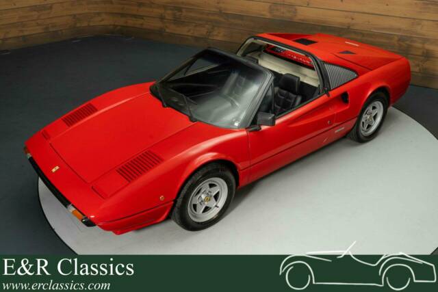 Bild 1/19 von Ferrari 308 GTSi (1981)