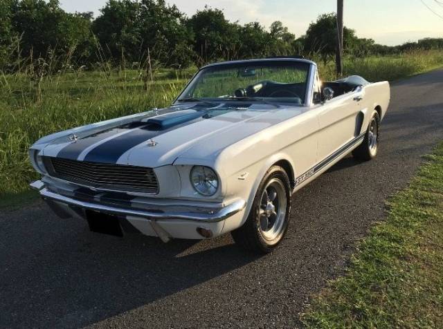 Bild 1/5 von Ford Shelby GT 350 (1966)