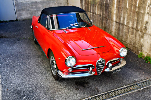 Image 1/25 of Alfa Romeo Giulia 1600 Spider (1962)