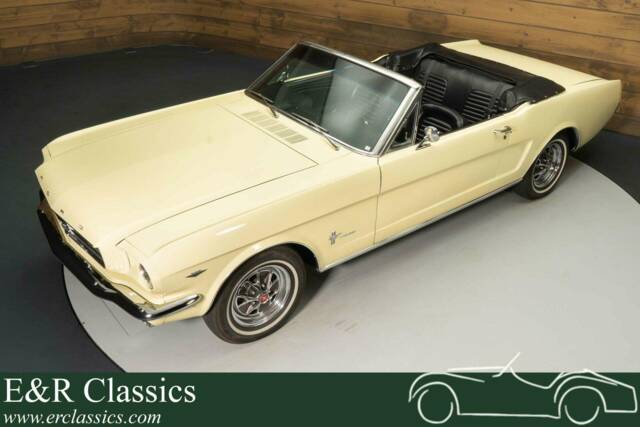 Bild 1/19 von Ford Mustang 289 (1965)