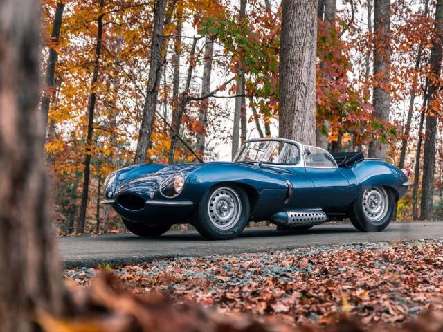 Bild 1/36 von Jaguar XK-SS (1957)