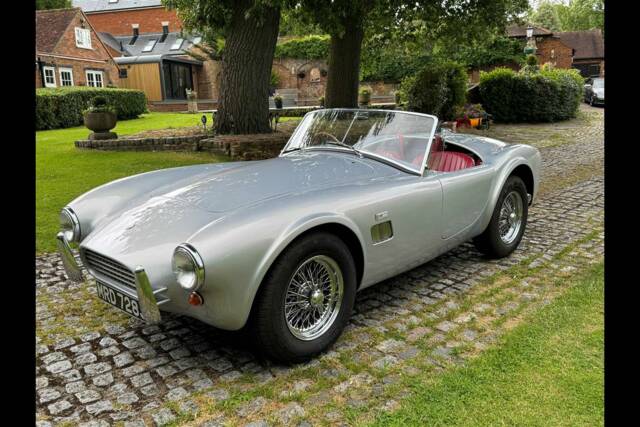 Image 1/24 of AC Cobra 289 (2001)