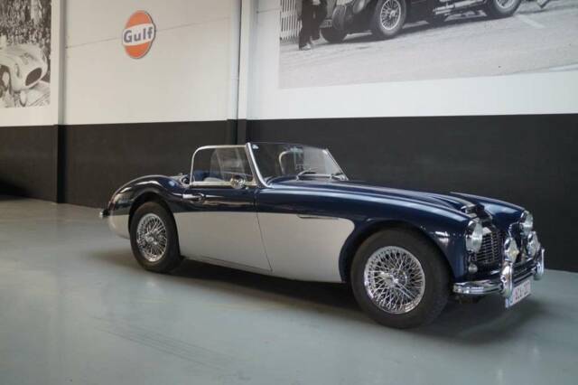 Bild 1/50 von Austin-Healey 3000 Mk II (BN7) (1961)