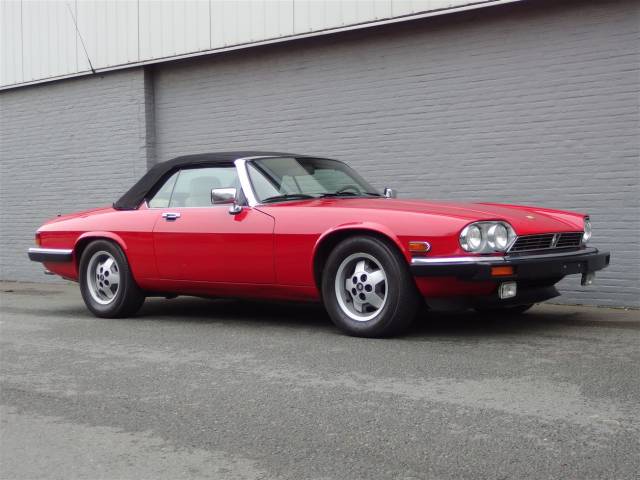 Immagine 1/80 di Jaguar XJS 5.3 V12 (1990)