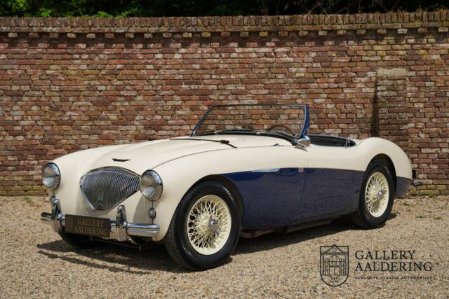 Image 1/50 of Austin-Healey 100&#x2F;4 (BN1) (1954)
