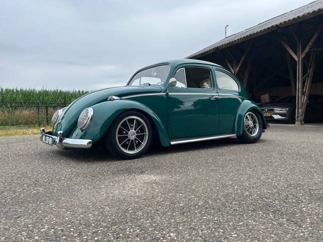 Bild 1/8 von Volkswagen Käfer 1200 Standard "Dickholmer" (1964)