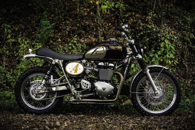 Bild 1/7 von Triumph DUMMY (2016)