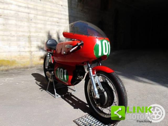 Afbeelding 1/20 van Aermacchi Harley-Davidson DUMMY (1964)