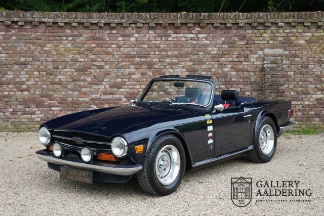 Immagine 1/50 di Triumph TR 6 (1973)