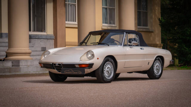 Bild 1/13 von Alfa Romeo 2000 Spider Veloce (1979)