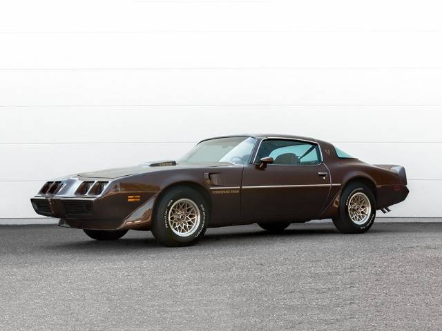 Bild 1/24 von Pontiac Firebird TransAm (1979)