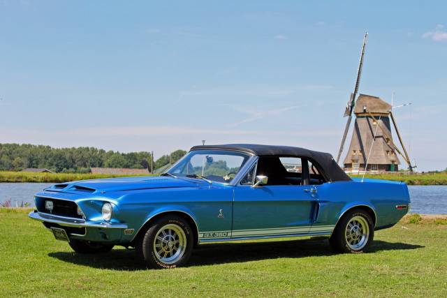 Image 1/25 of Ford Shelby GT 350 (1968)