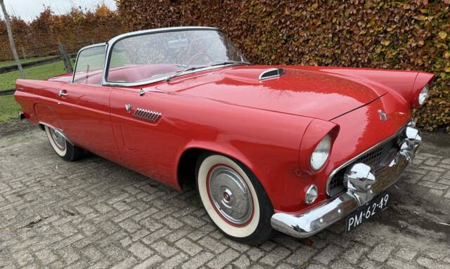 Bild 1/7 von Ford Thunderbird (1955)