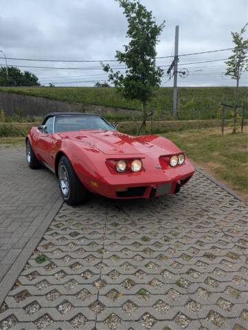 Image 1/50 of Chevrolet Corvette Stingray (1975)