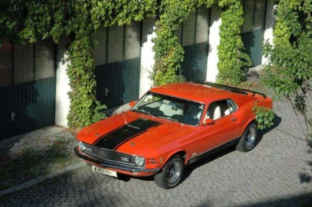 Bild 1/19 von Ford Mustang Mach 1 (1970)