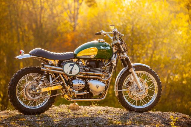 Bild 1/7 von Triumph DUMMY (2016)