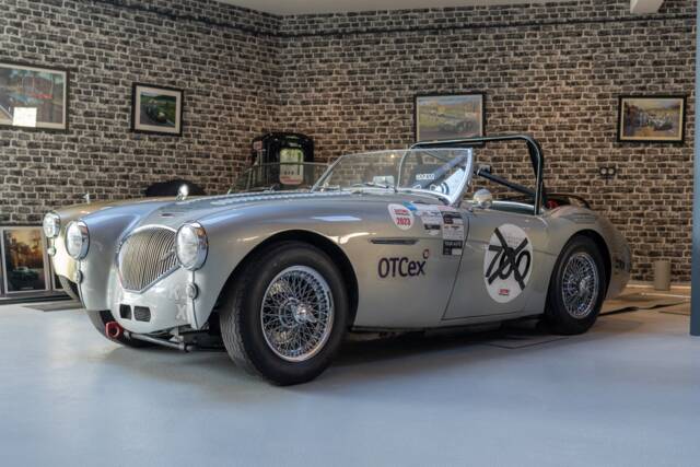 Image 1/24 of Austin-Healey 100/4 (BN2) (1956)