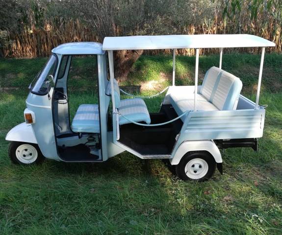 Bild 1/34 von Piaggio DUMMY (1970)