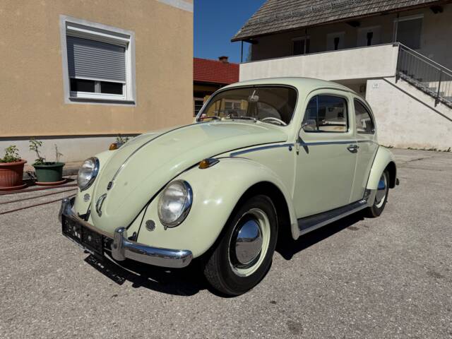 Image 1/25 de Volkswagen Coccinelle 1200 Export "Dickholmer" (1960)