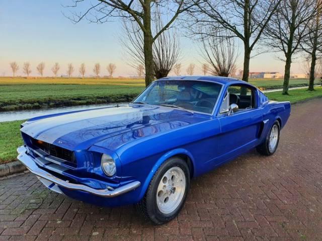 Image 1/9 of Ford Mustang 302 (1966)
