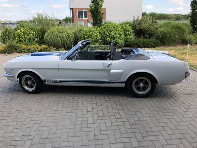 Bild 1/16 von Ford Shelby GT 350 (1966)