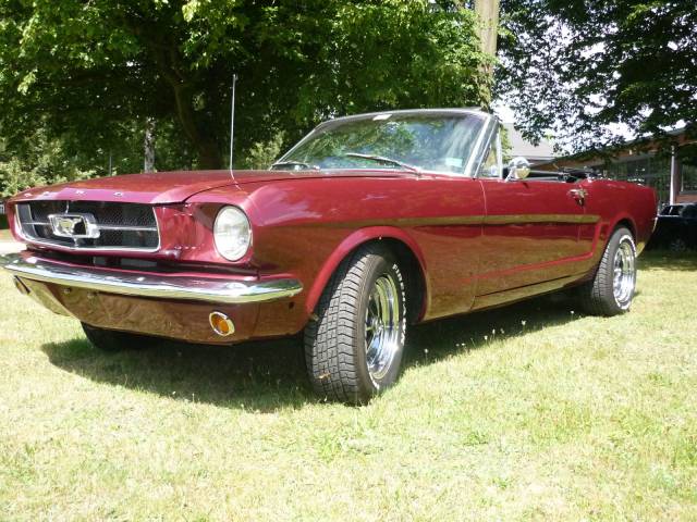Immagine 1/15 di Ford Mustang 289 (1964)