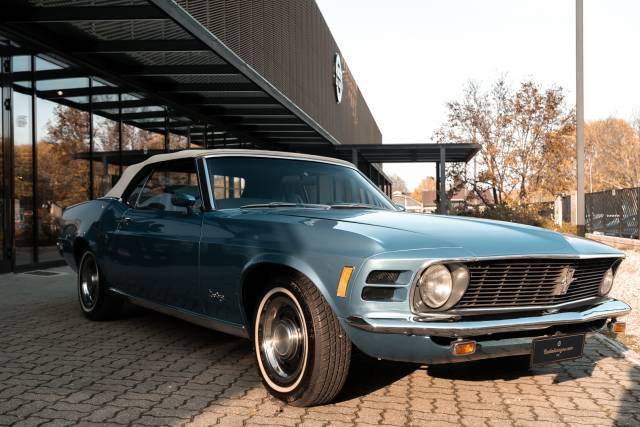 Bild 1/50 von Ford Mustang 351 (1970)