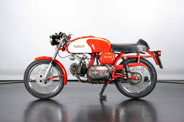 Image 1/50 of Aermacchi Ala Verde (1964)