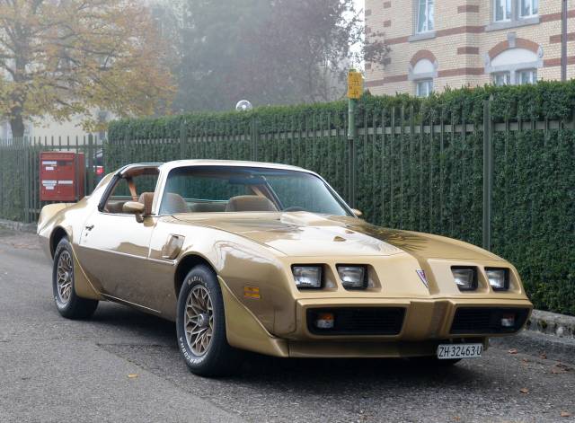 Bild 1/50 von Pontiac Firebird TransAm (1979)