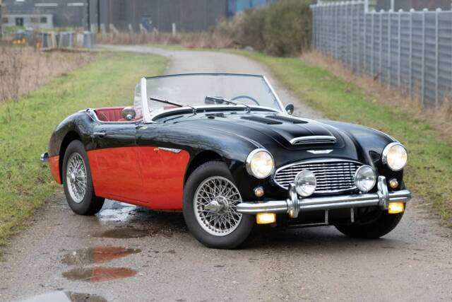 Image 1/82 of Austin-Healey 100/6 (BN4) (1958)