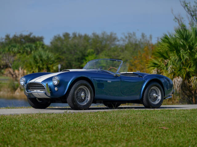 Image 1/48 of Shelby Cobra 289 (1964)